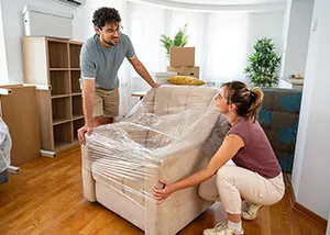 Domestic Shifting